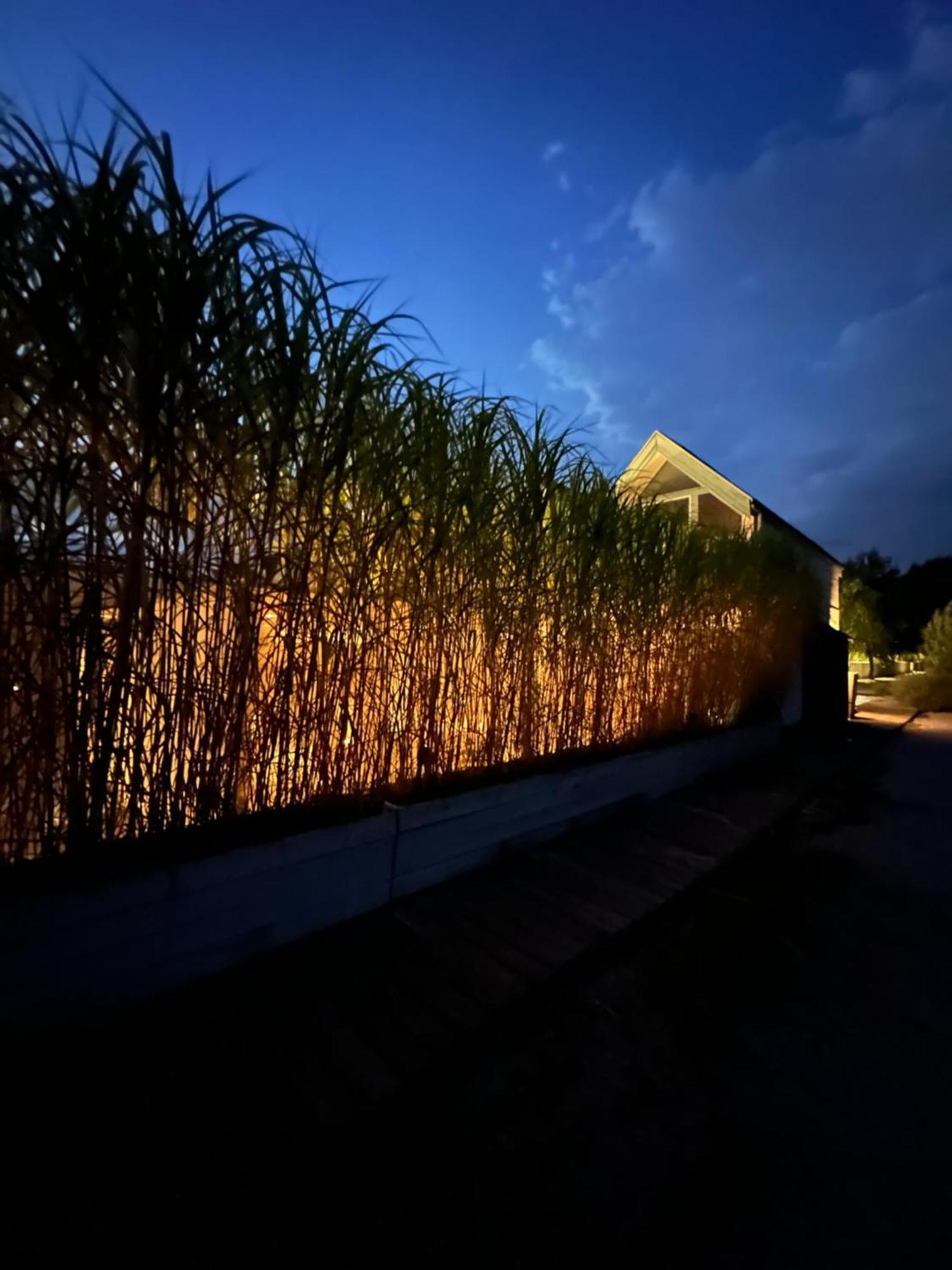 Haus Am See Neusiedl am See Exterior photo