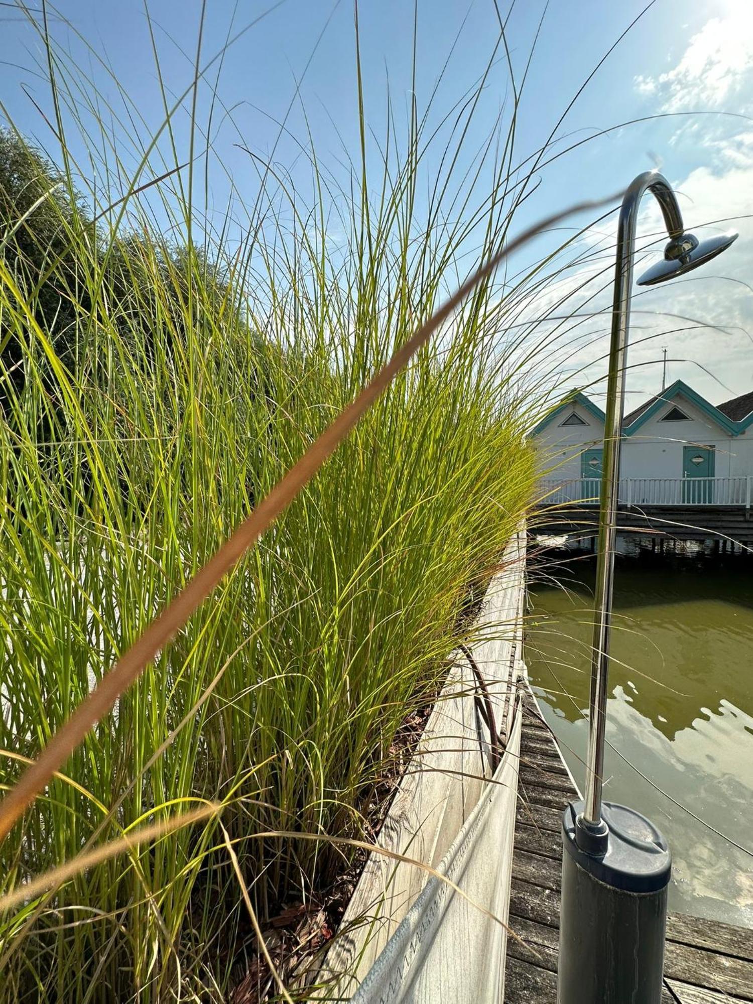 Haus Am See Neusiedl am See Exterior photo